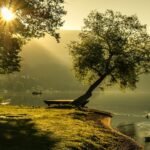 biancamentil-landscape-1192669_1920