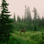 emma-swoboda-iFWGdUOAHIA-unsplash