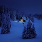 jerzygorecki-snow-3373432_1920