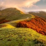 leolo212-autumn-8467482_1920