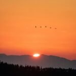 paul-pastourmatzis-AhalAlrWl8I-unsplash