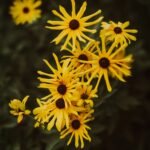 tim-mossholder-RVmdF3ruXlA-unsplash