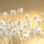 valentina-stanoaie-pTUfeulAI_I-unsplash